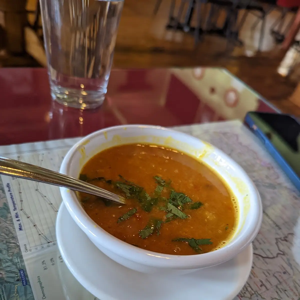 Mulligatawny Soup
