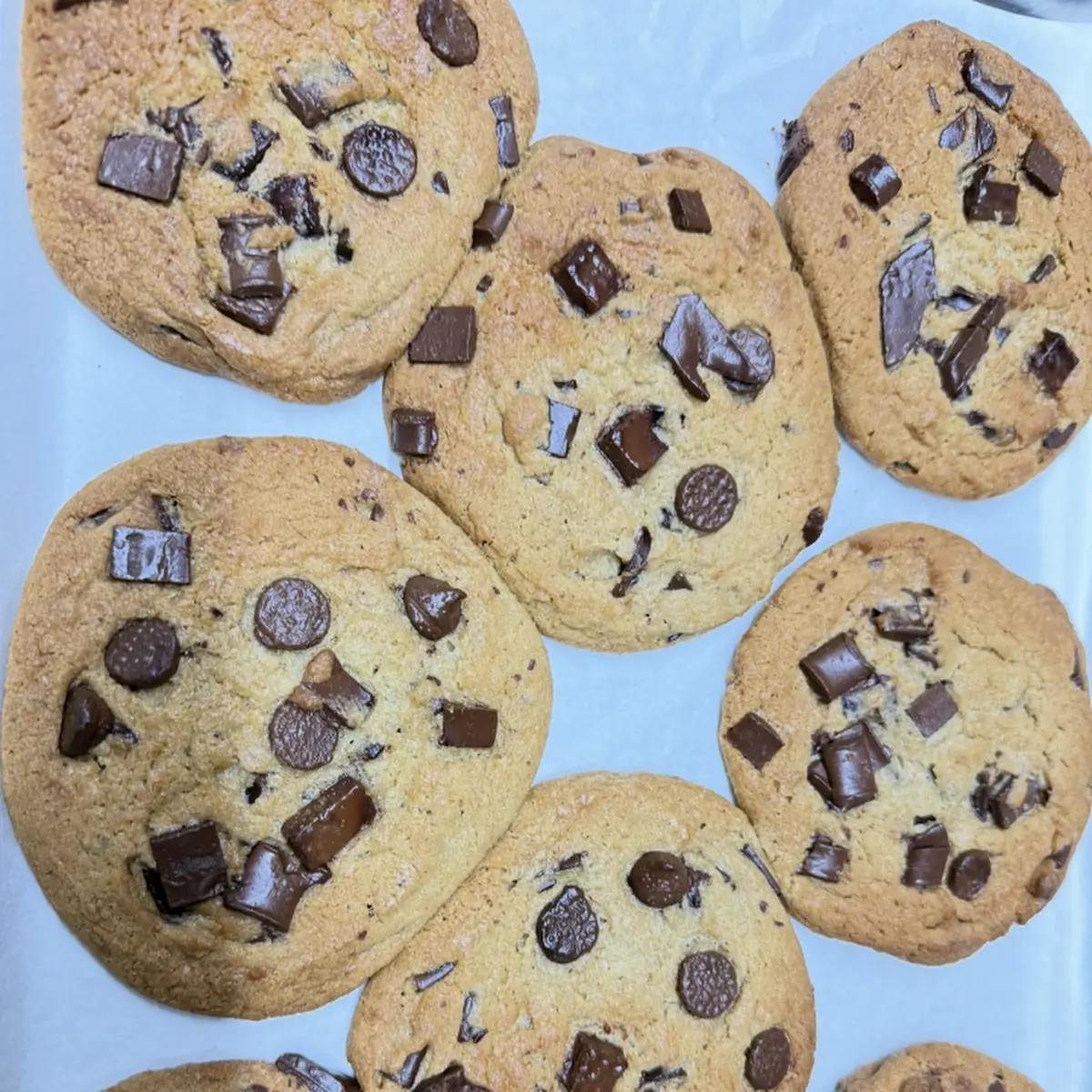 Chocolate Chip Cookie 2