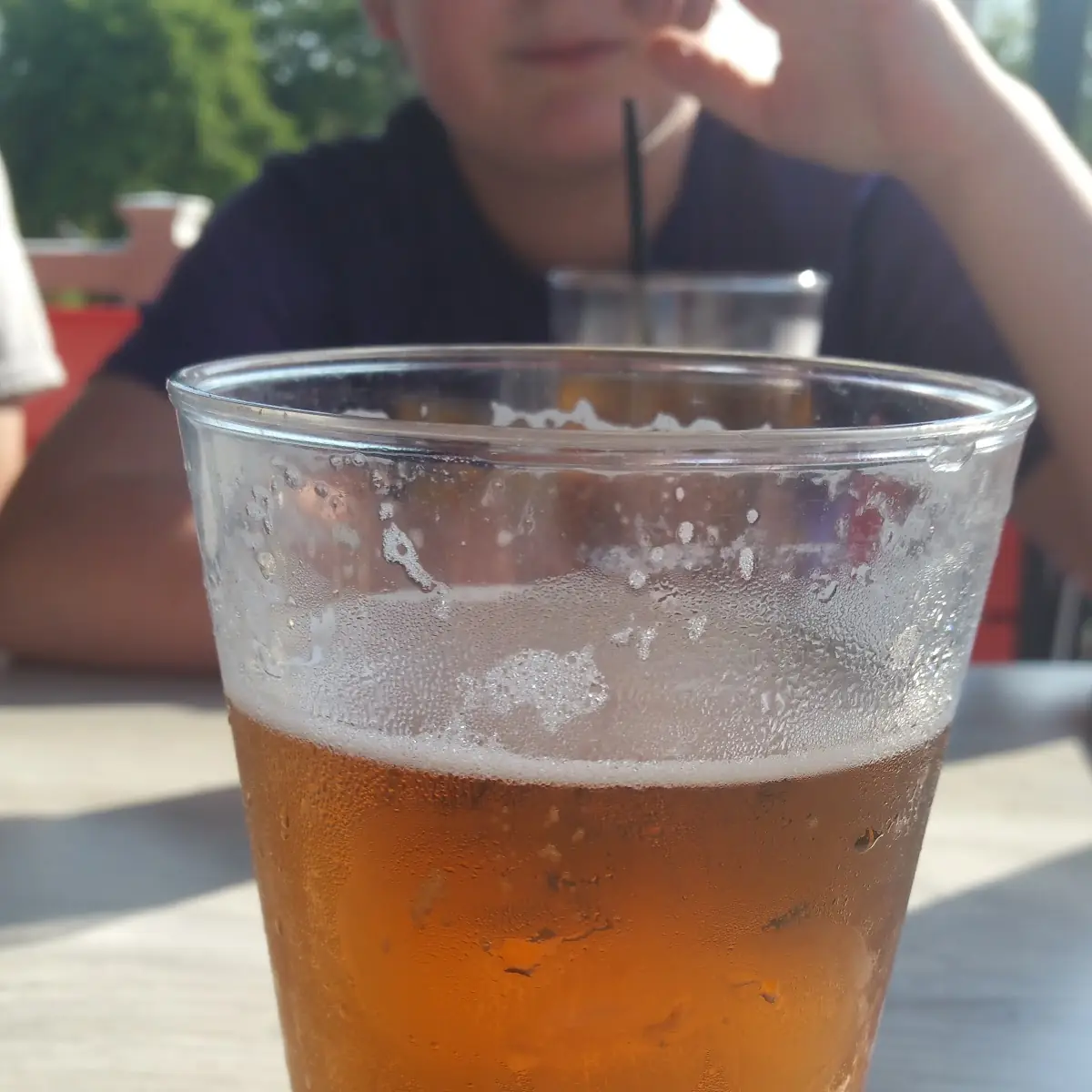 Ballast Point IPA