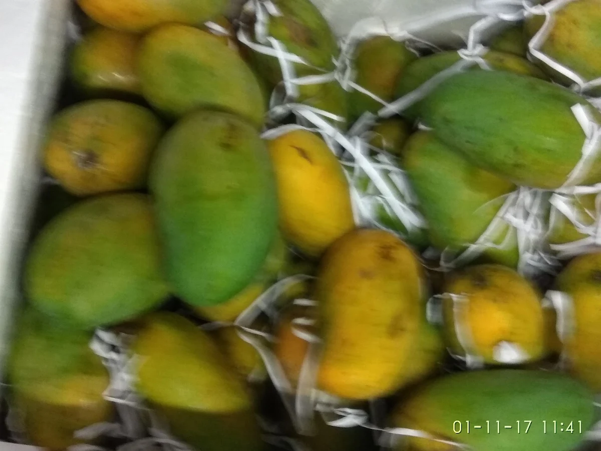 Mangoes, Rouge Bakery