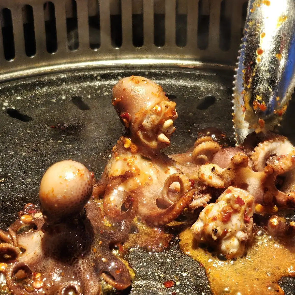 Baby Octopus