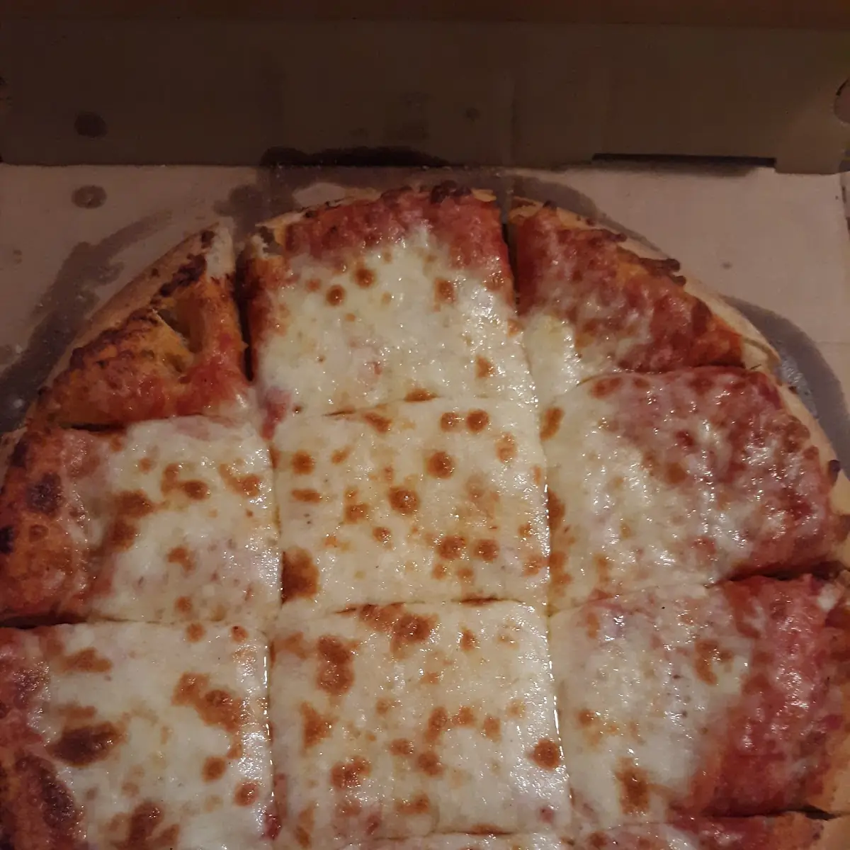 Extra Cheese Pizza