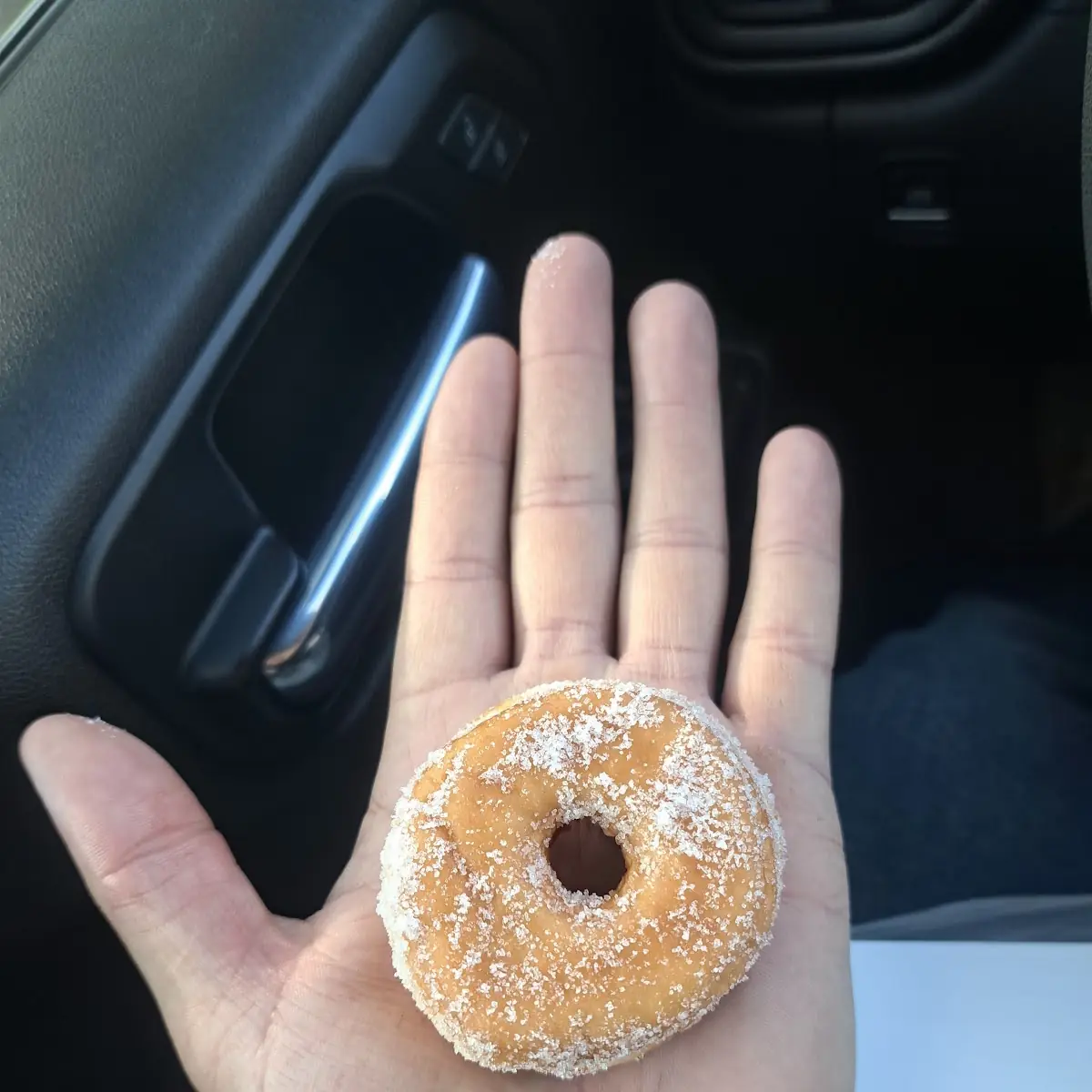 Doughnut