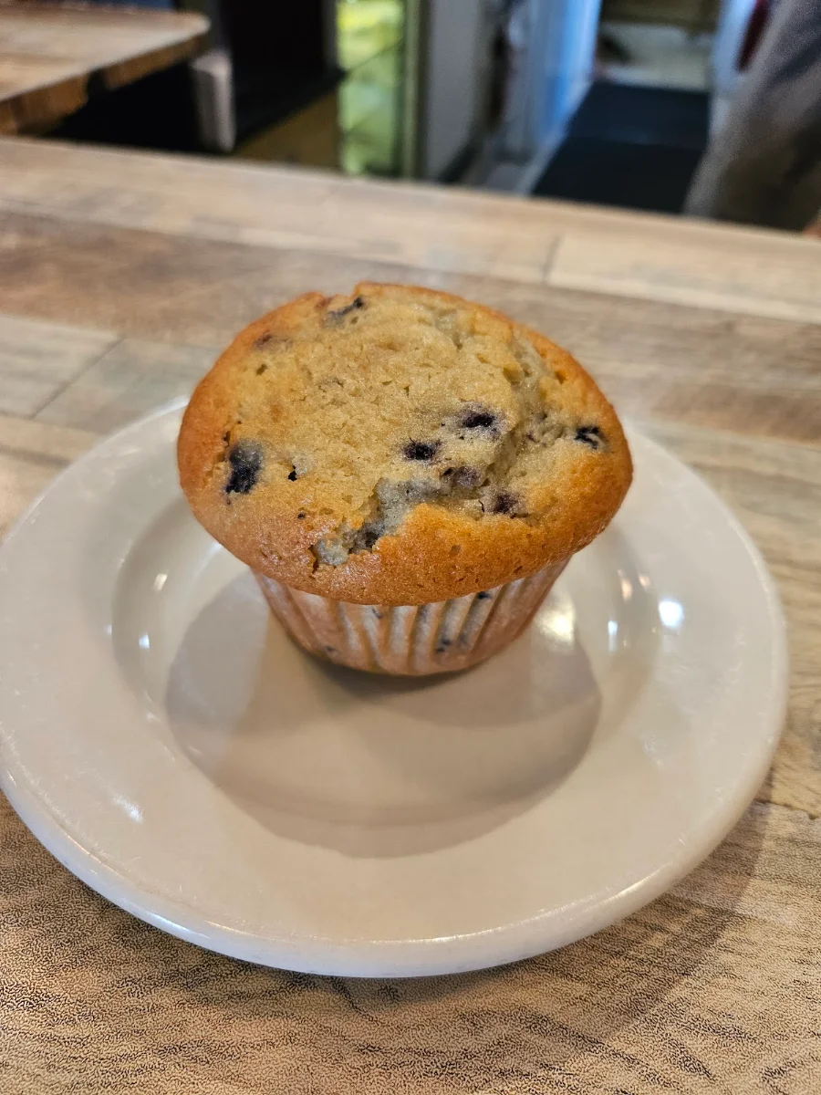 Blueberry Muffin