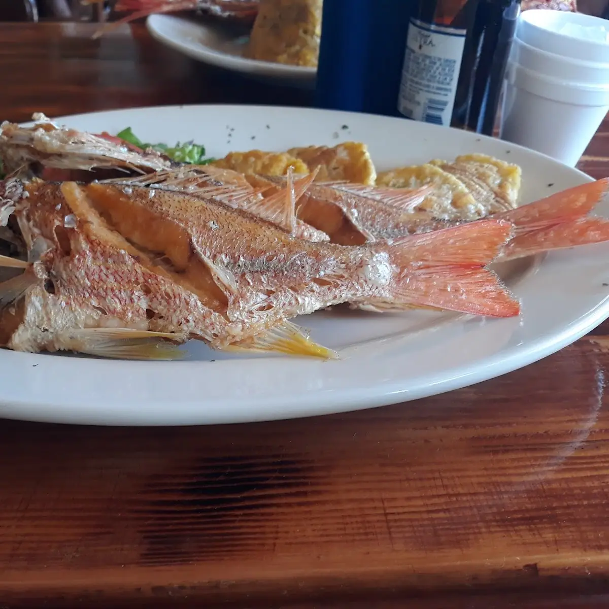 Fried Fish Arrayao with Tostones