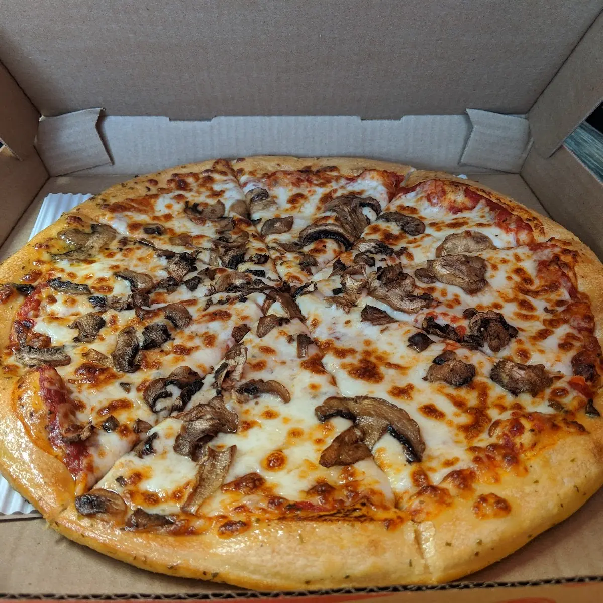 Mushroom Pizza