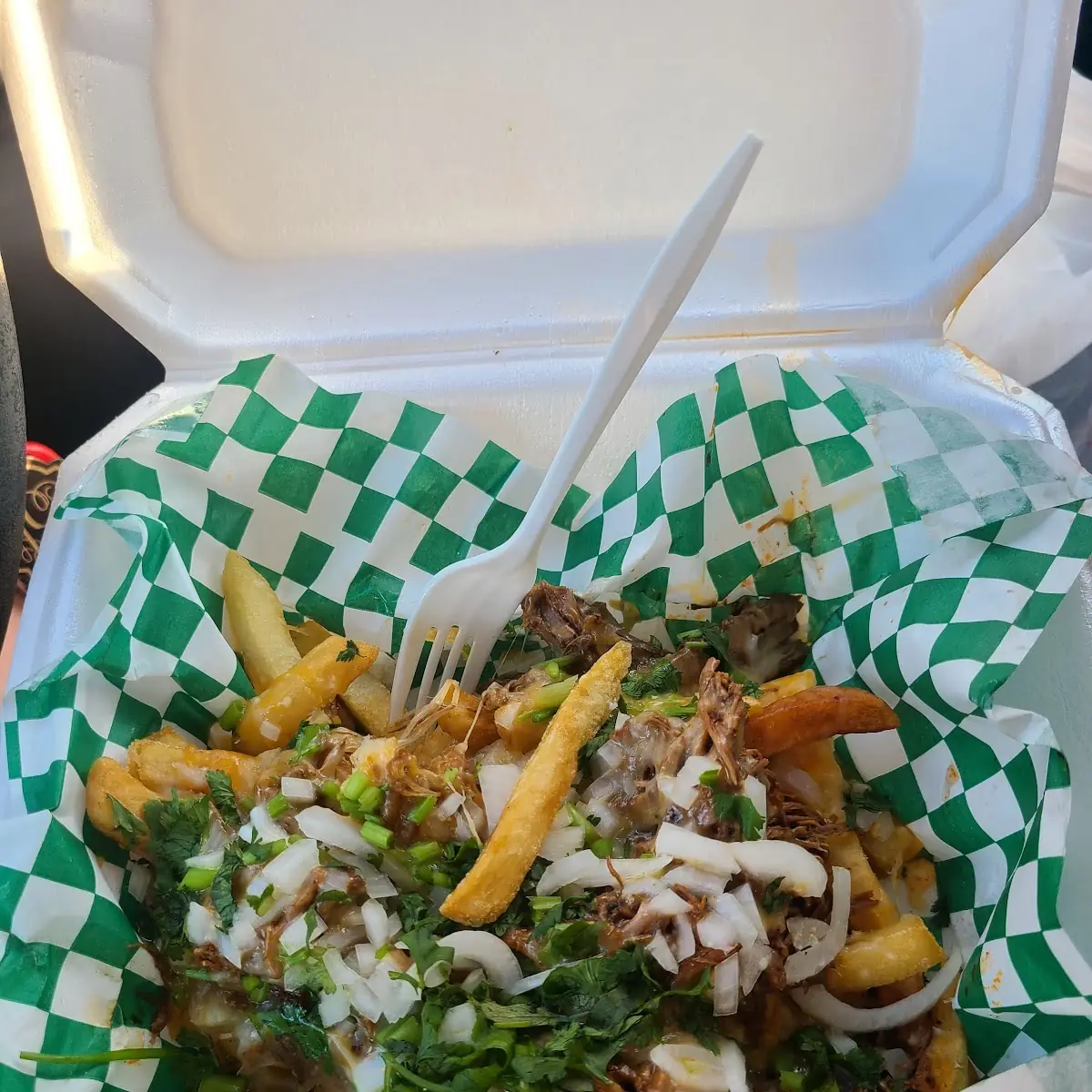 Loaded Steak Cheese Fries with Bistec or Pastor