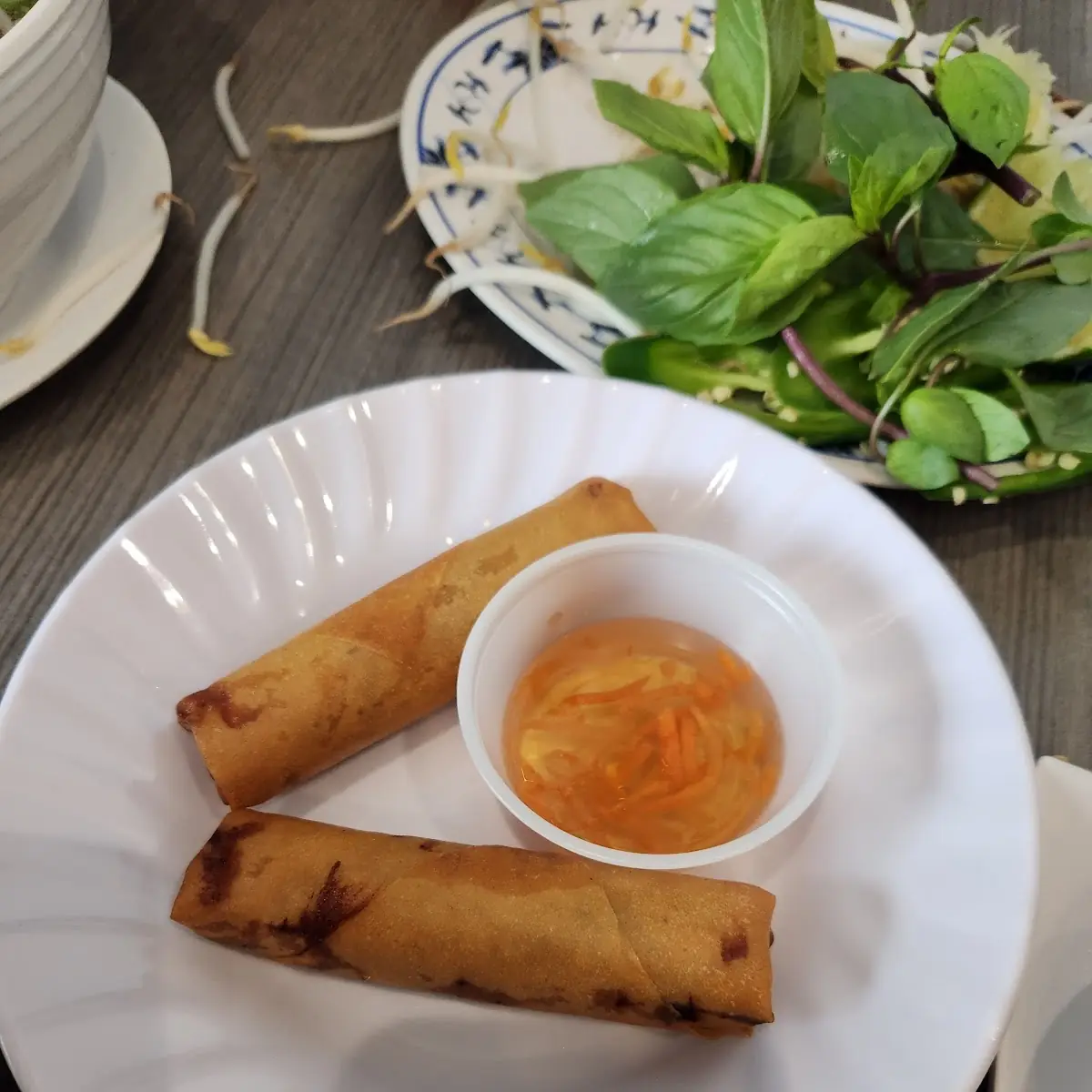 Tofu Spring Rolls