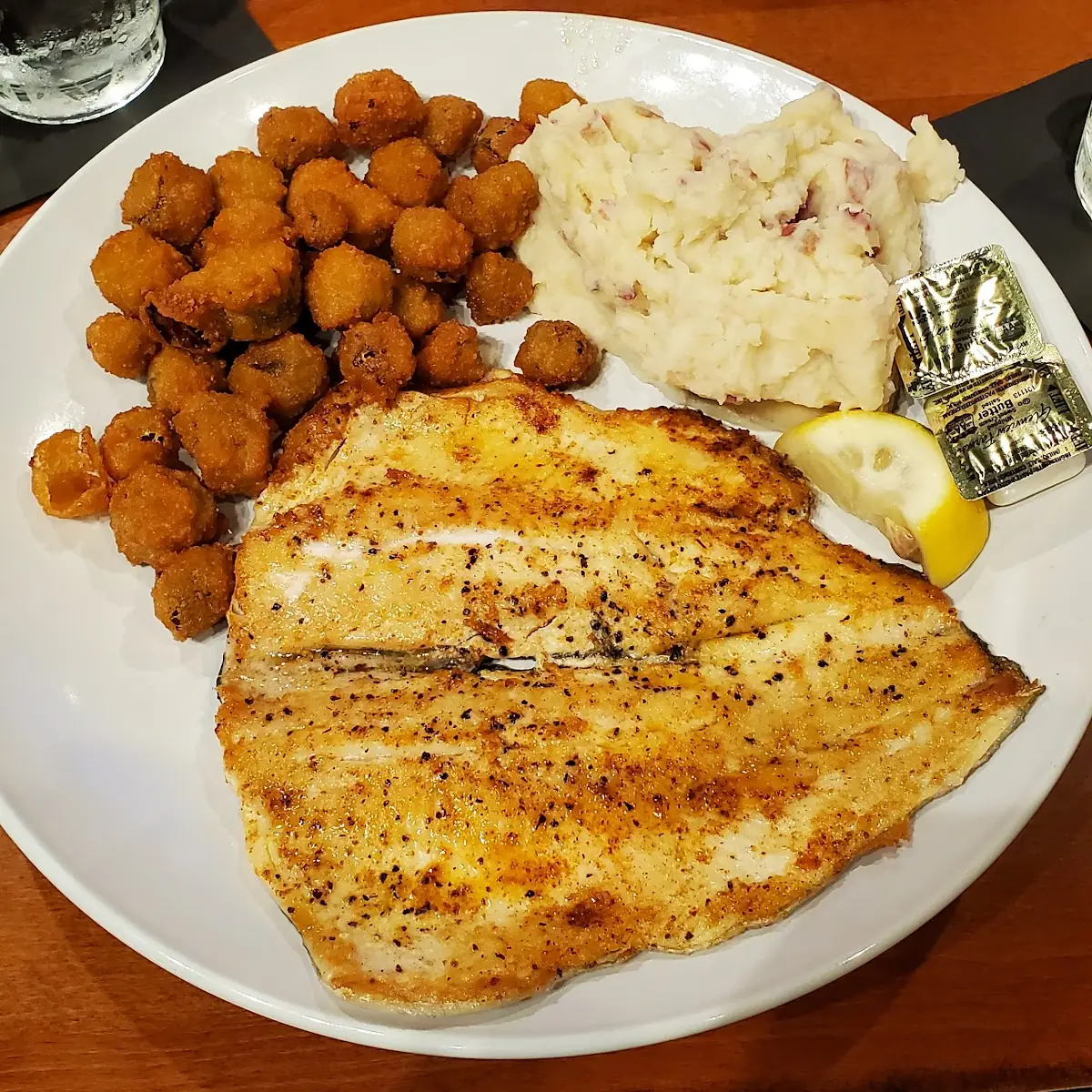 Rainbow Trout
