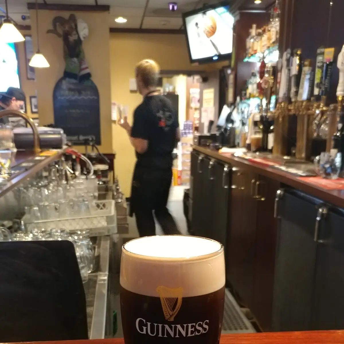 Guinness Stout