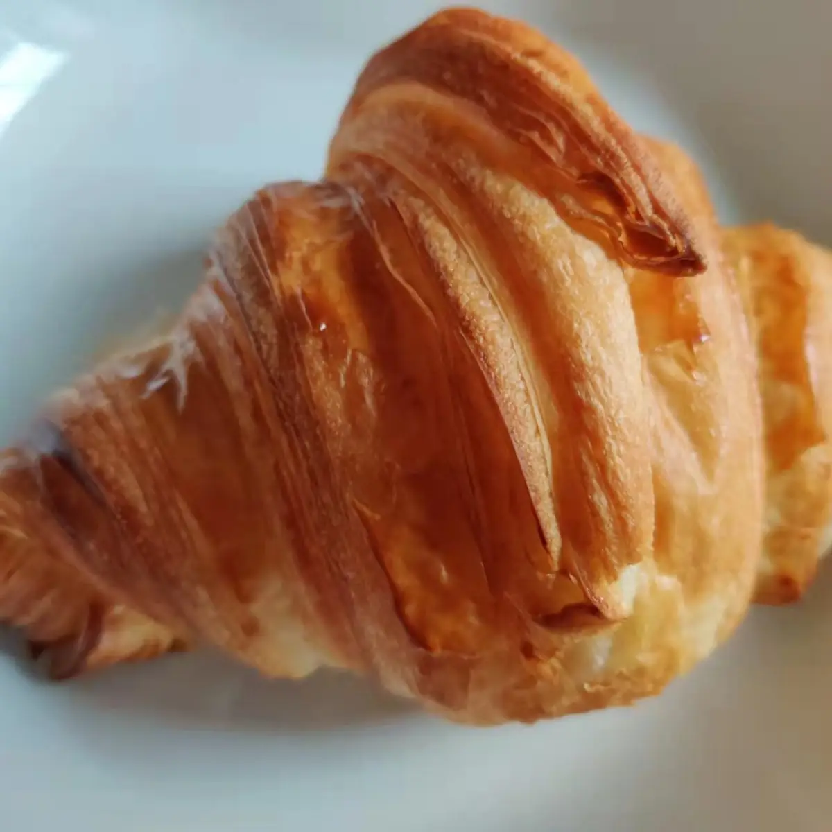 Bacon Egg Cheese Croissant