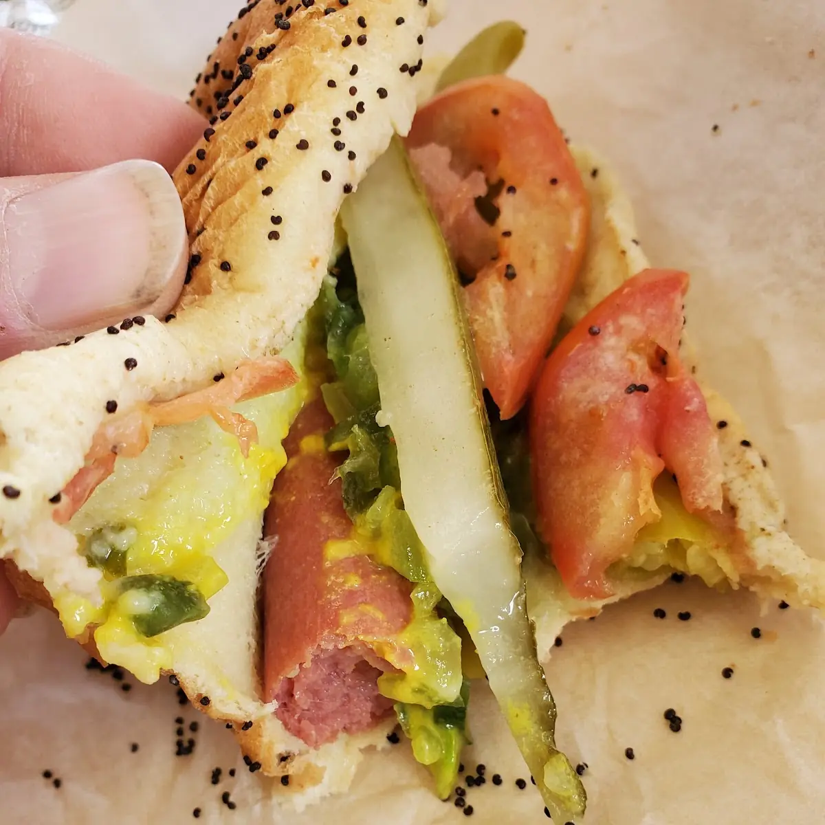 Chicago Style Hot Dog