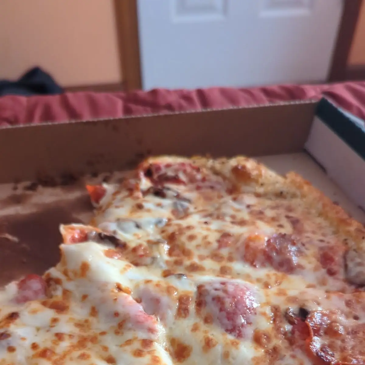 Pepperoni and Mushroom Pizza