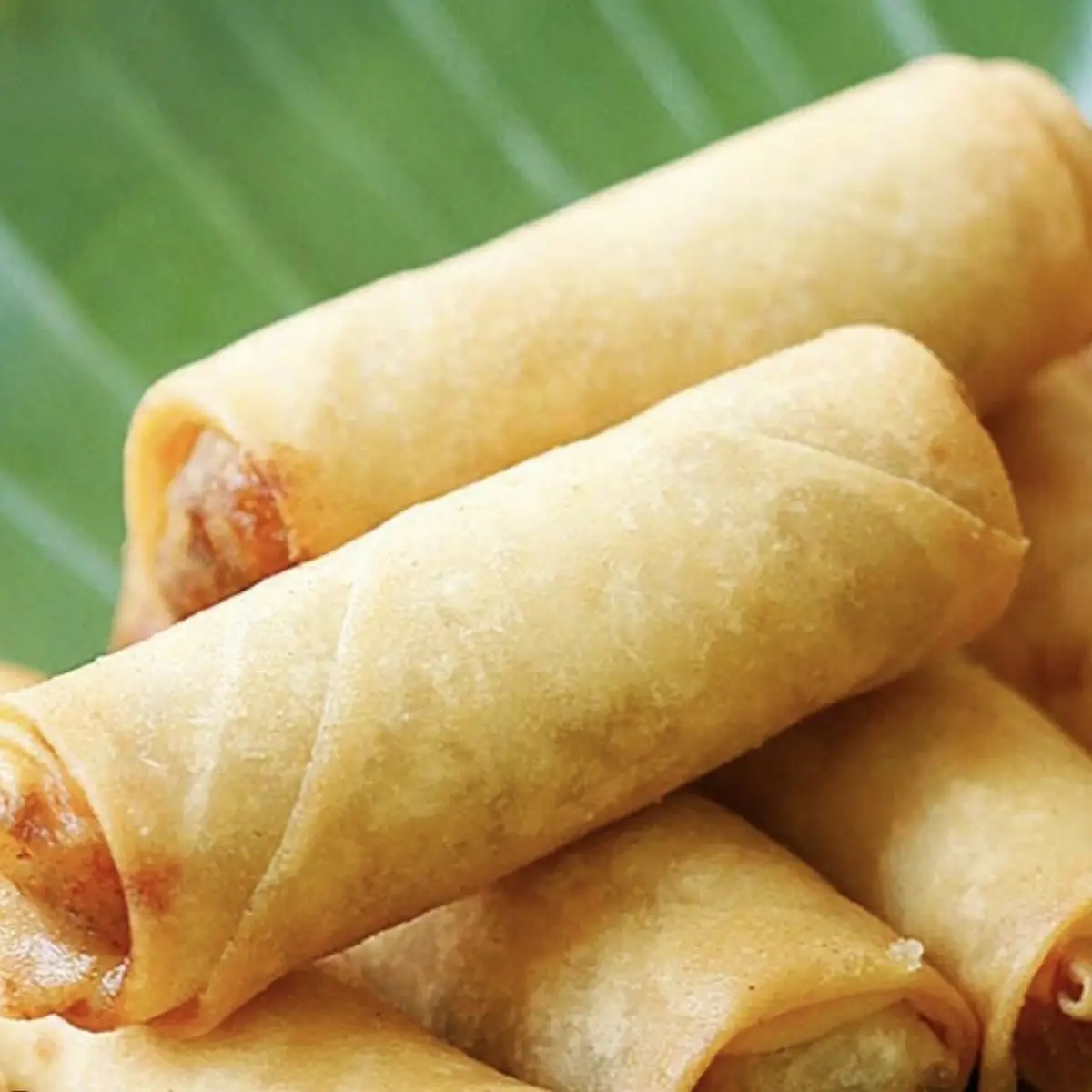 Vegetable Spring Roll