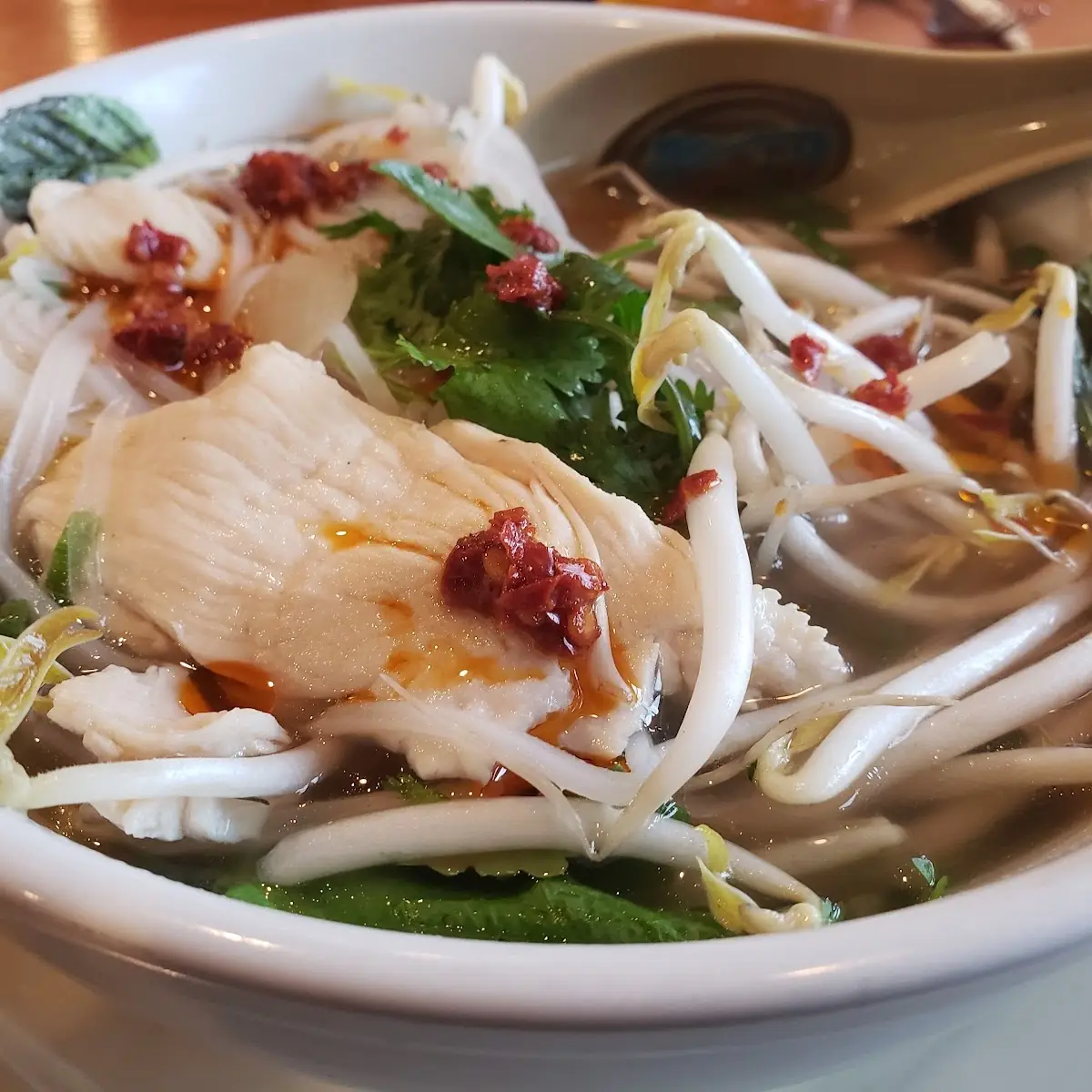Chicken Noodle Soup