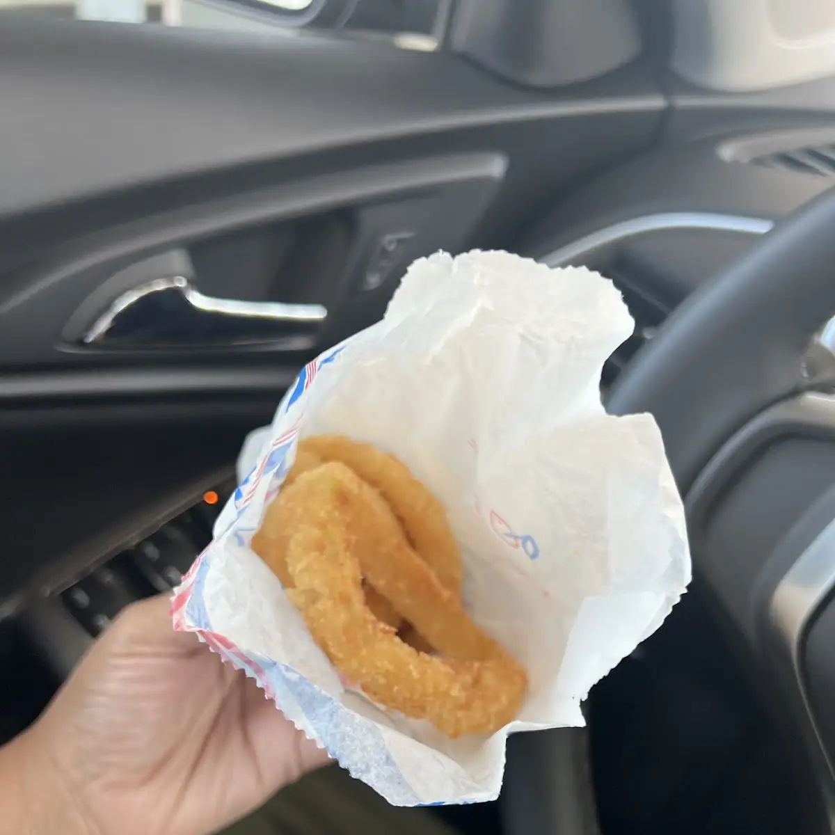 Hand Made Onion Rings