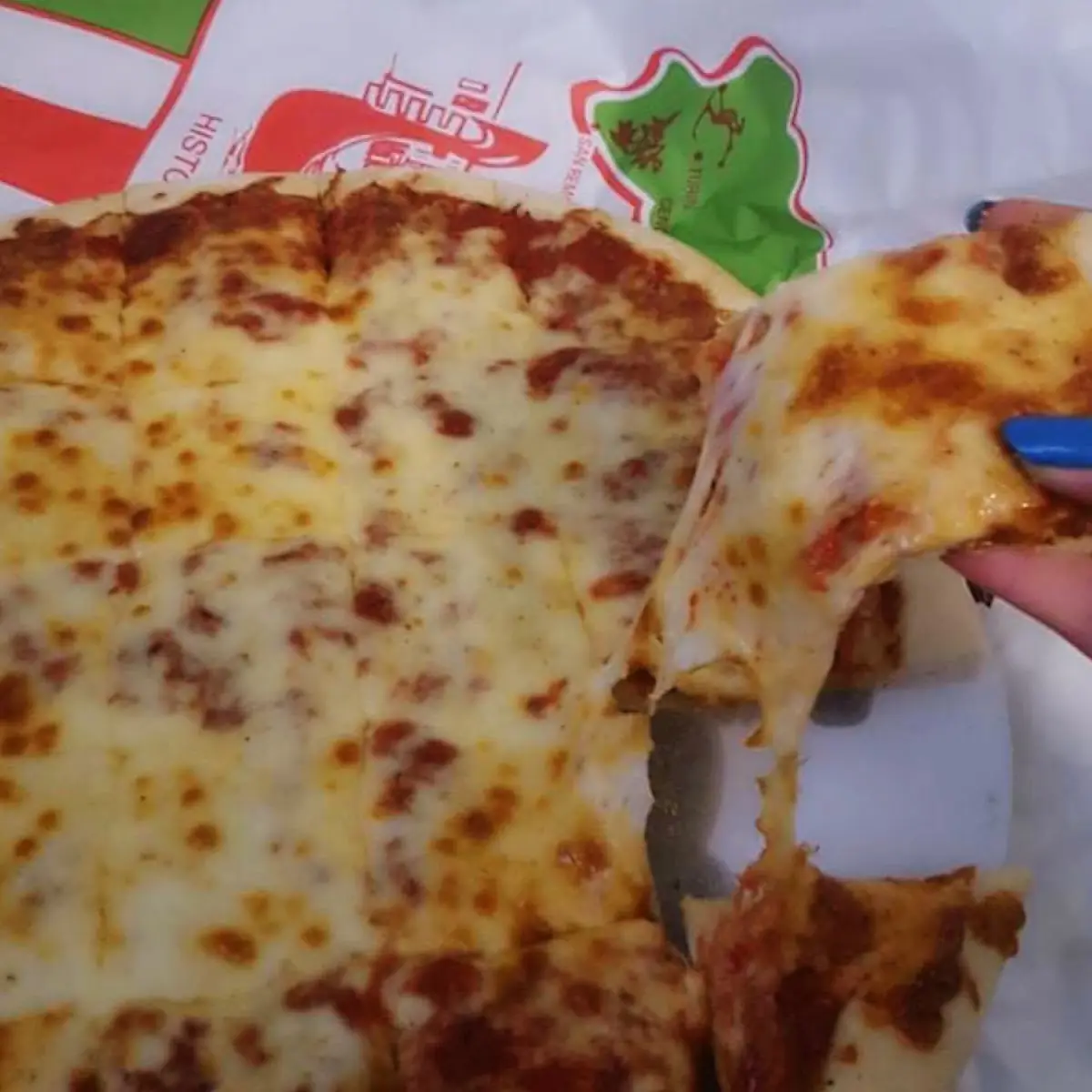 Cheese Pizza
