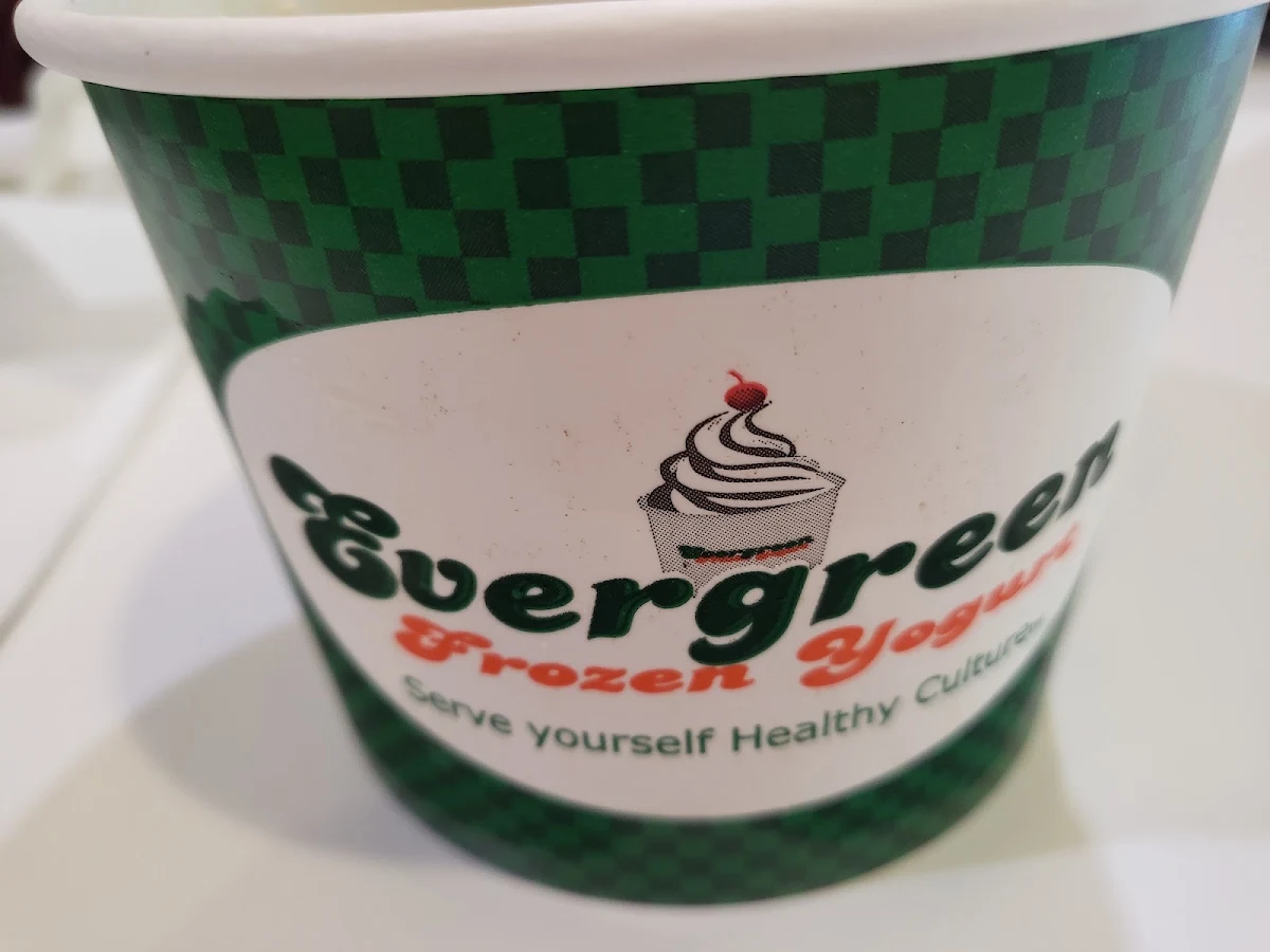 Frozen Yogurt