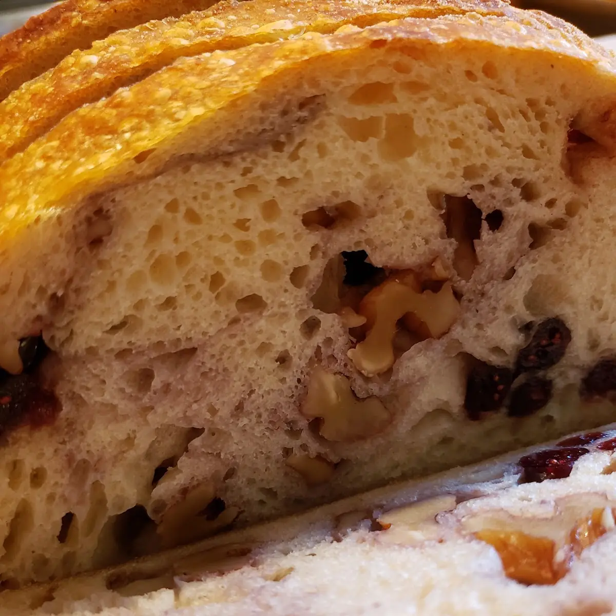 Cranberry Walnut Sourdough Bread