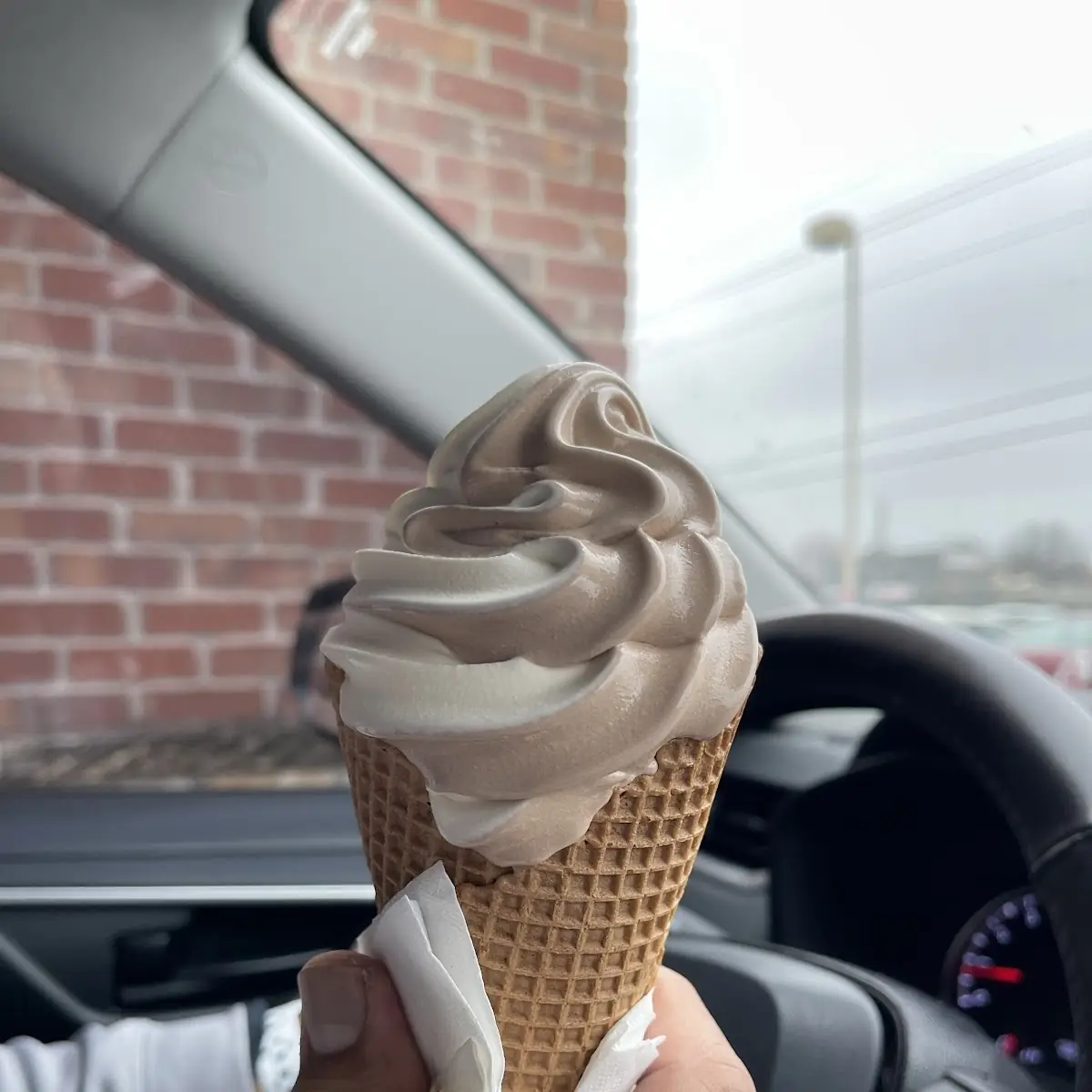 Twisted Frozen Yogurt