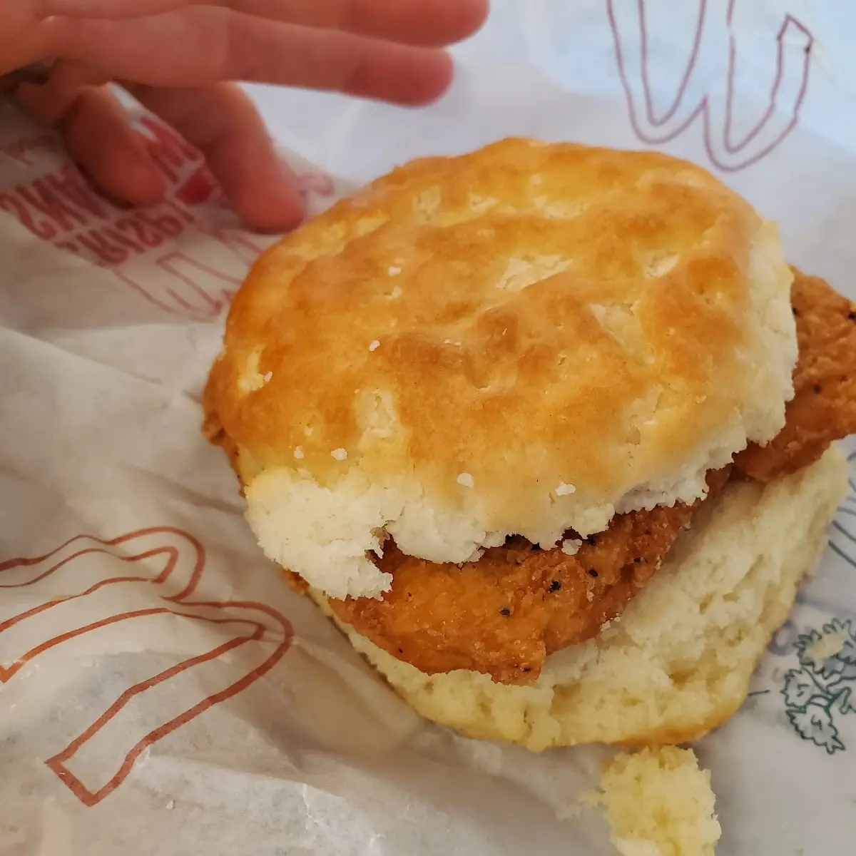 Chicken Biscuit