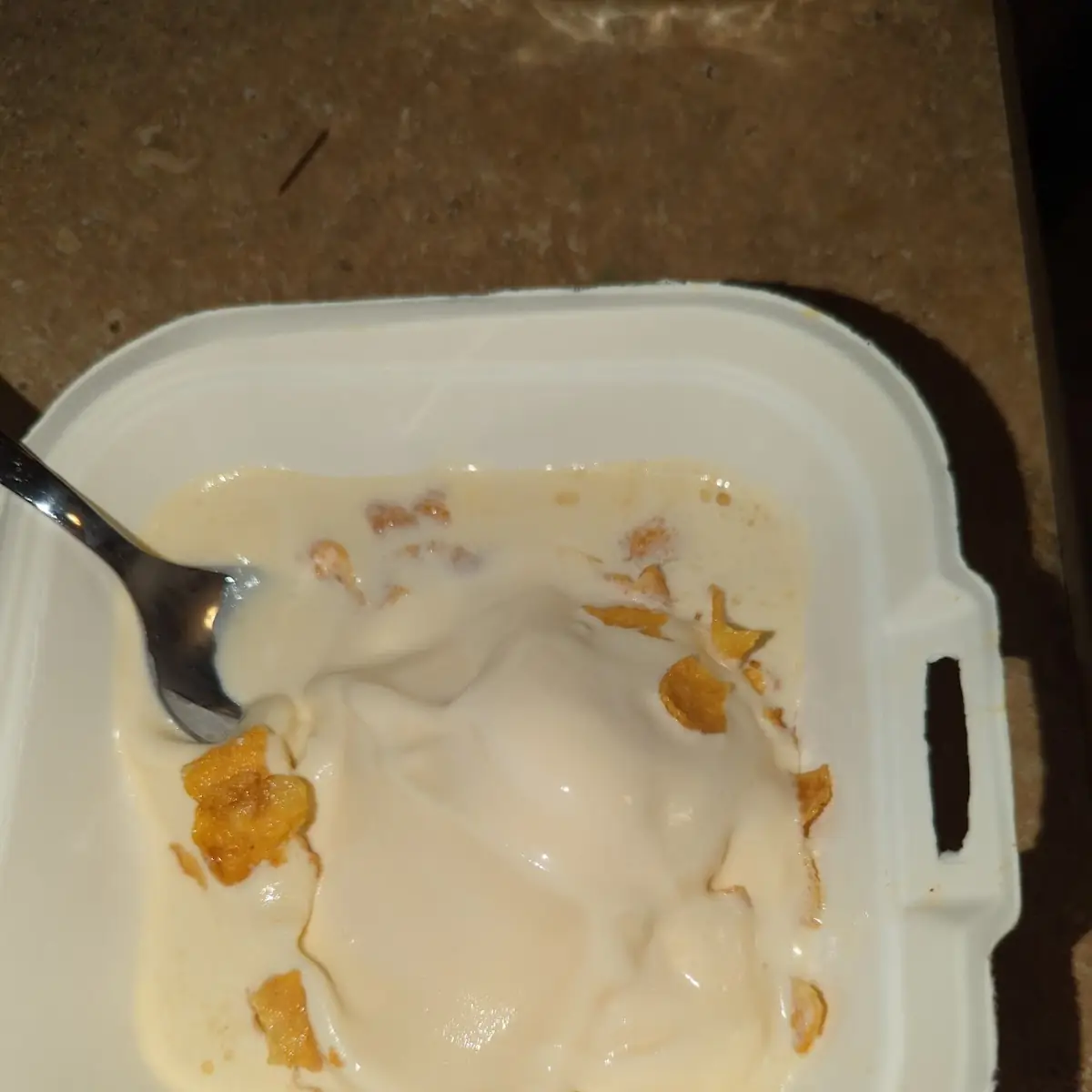 Vanilla Ice Cream