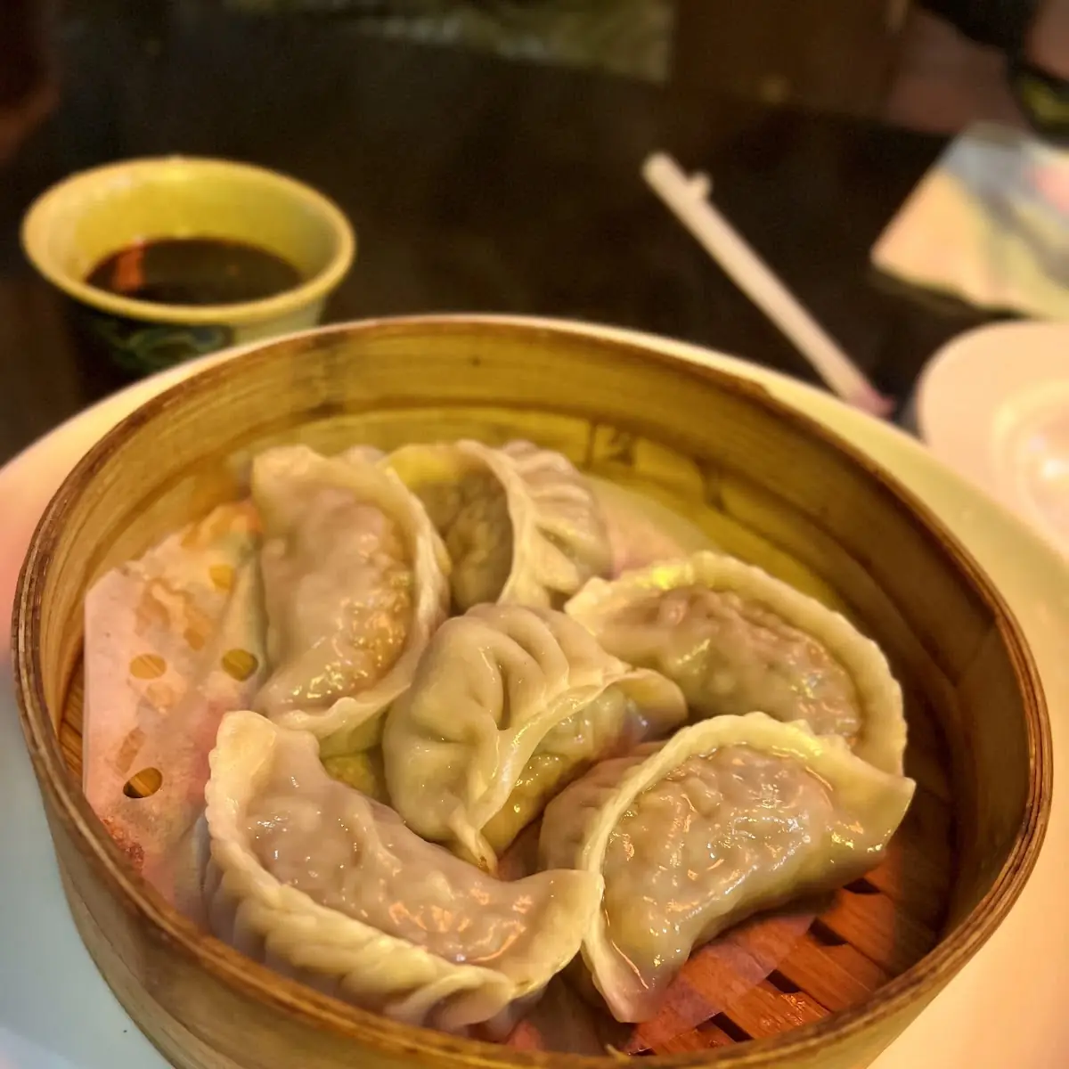 Steamed Dumplings or Pot Stickers 6