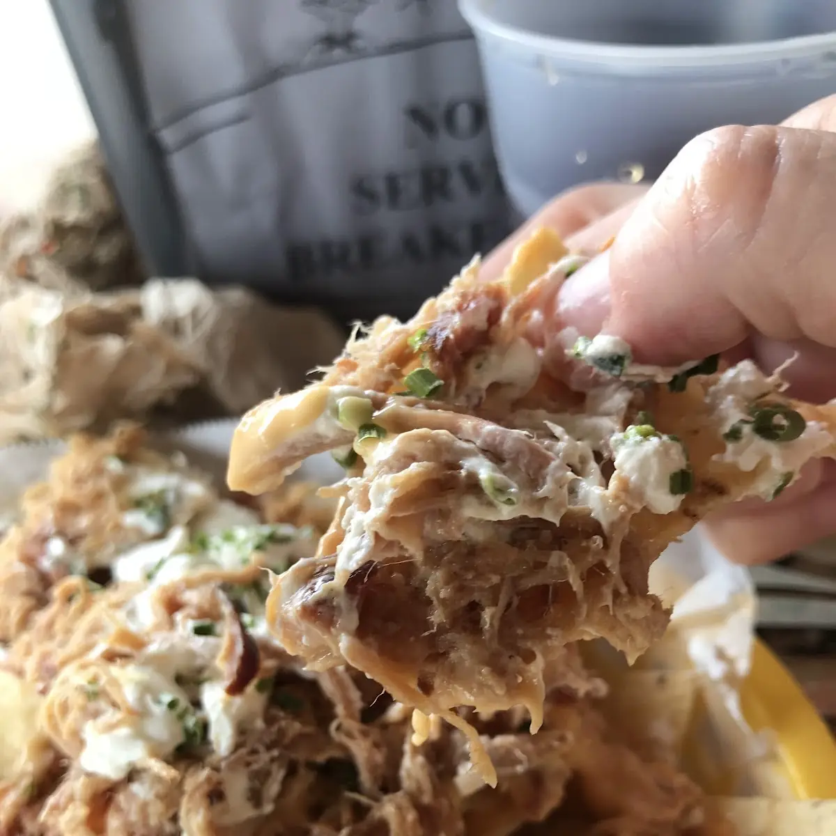 Pulled Pork Nachos