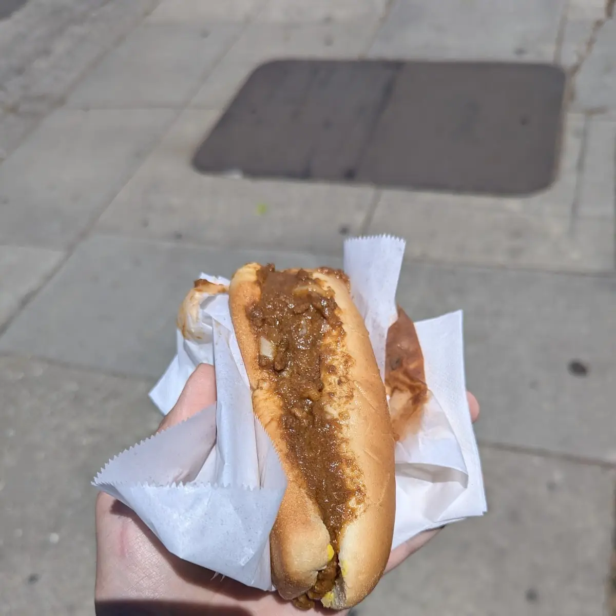 Hot Dog with Everything
