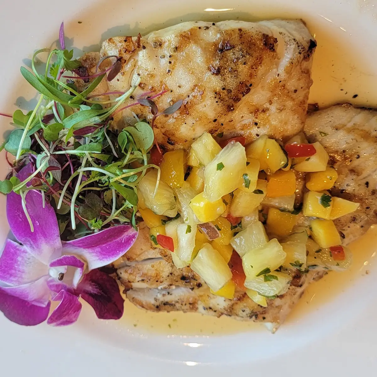 Mink Island Crab Cakes