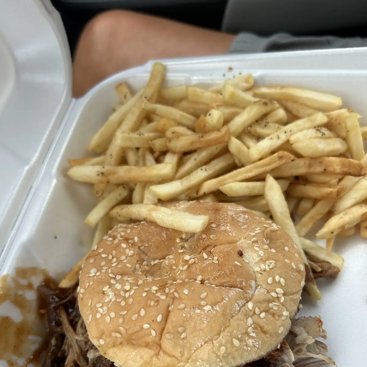 Pulled Pork Sandwich and Fries