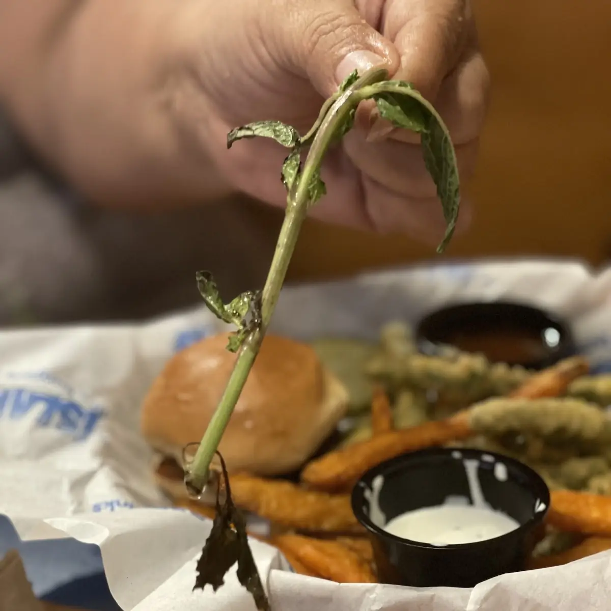 Fresh Cut Island Fries