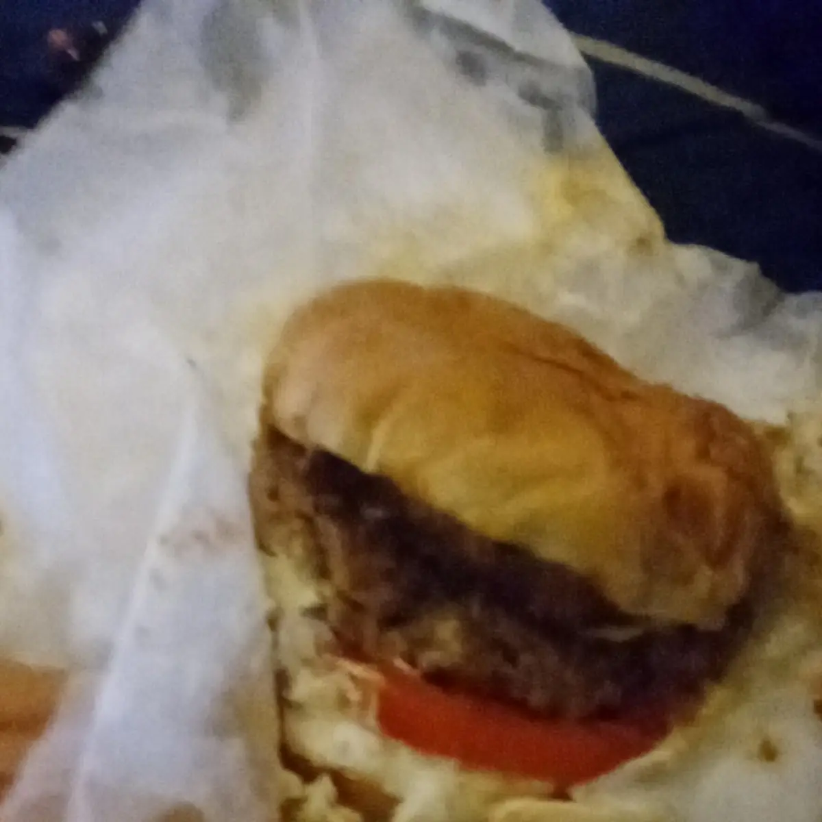 Double Cheeseburger w Slaw&Chili
