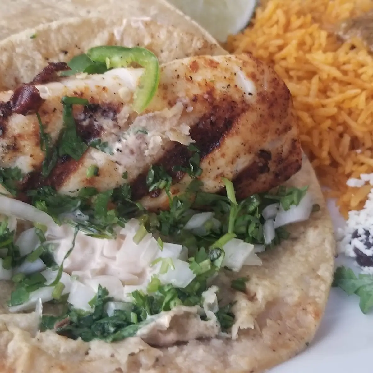 Grilled Tilapia Tacos
