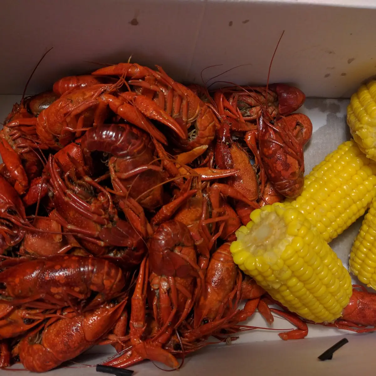 Boiled Crawfish 1 lb