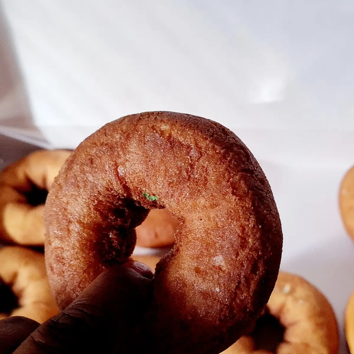 Cider Doughnut