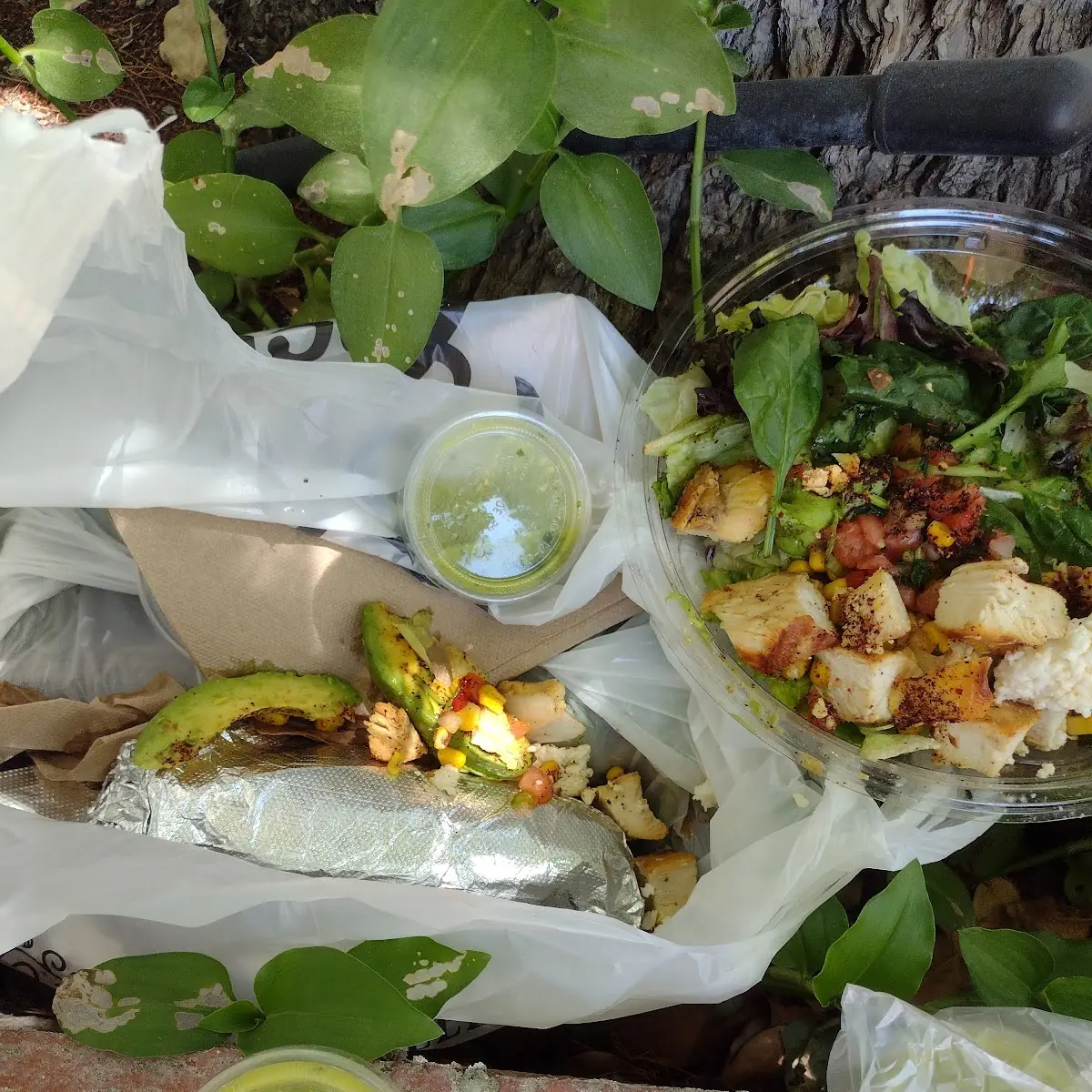 Spilled Salad Inside Bag