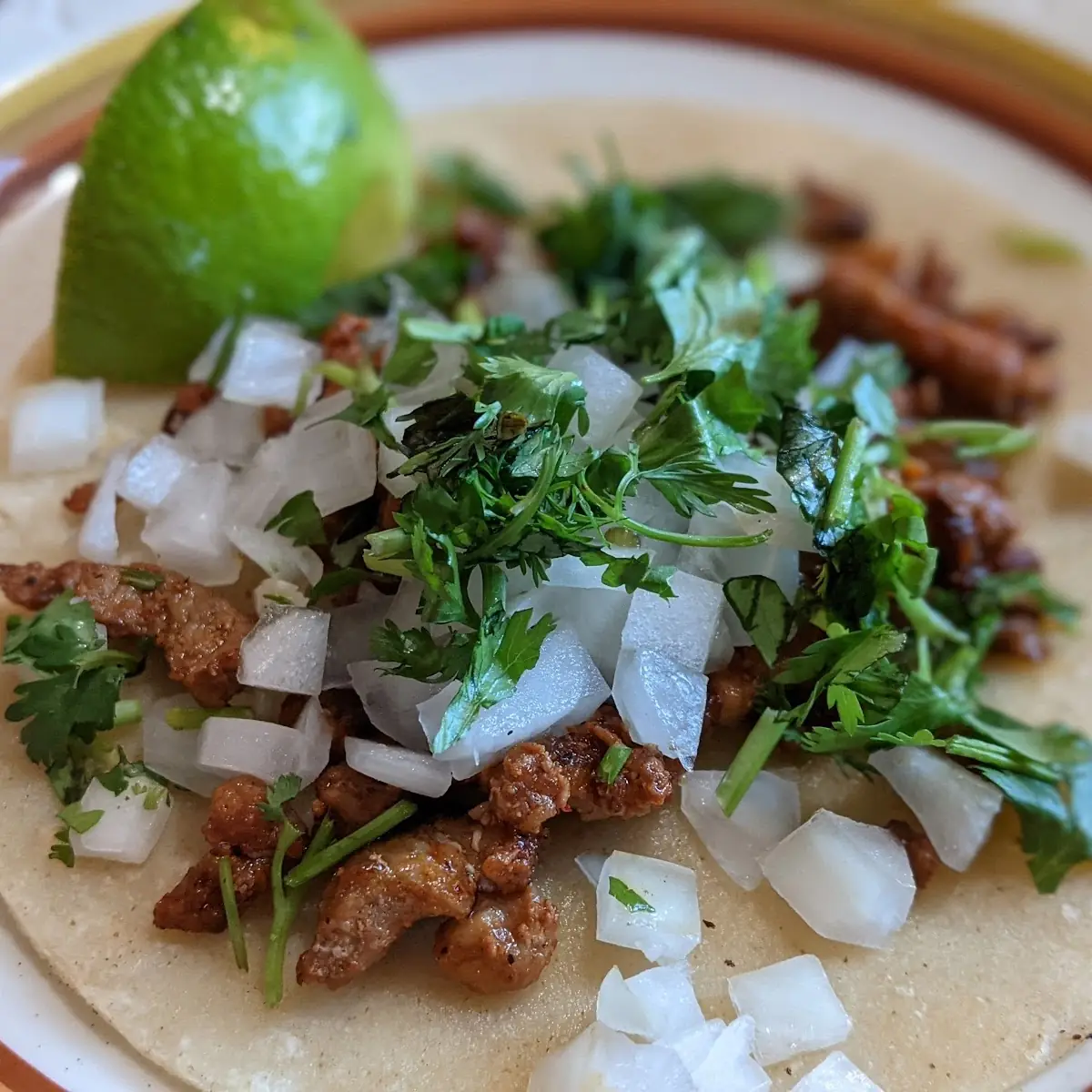 Soft Taco