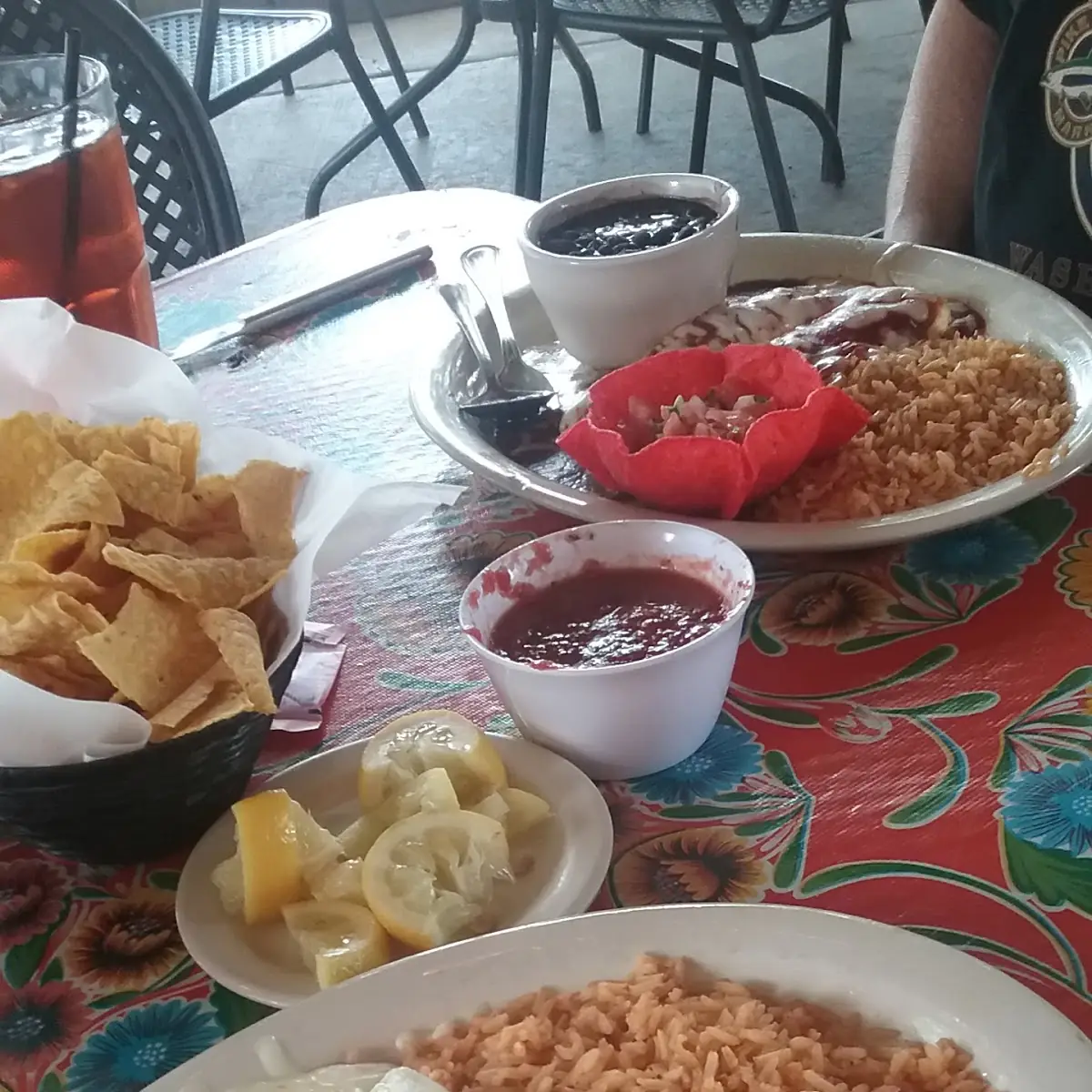Sour Cream Chicken Enchiladas