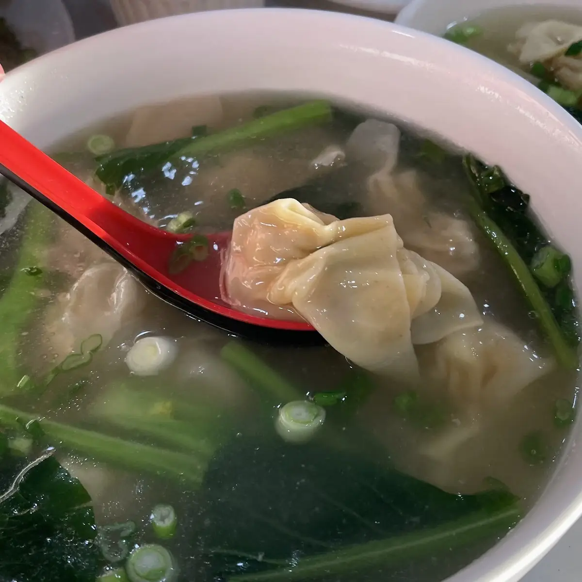 Wonton Soup