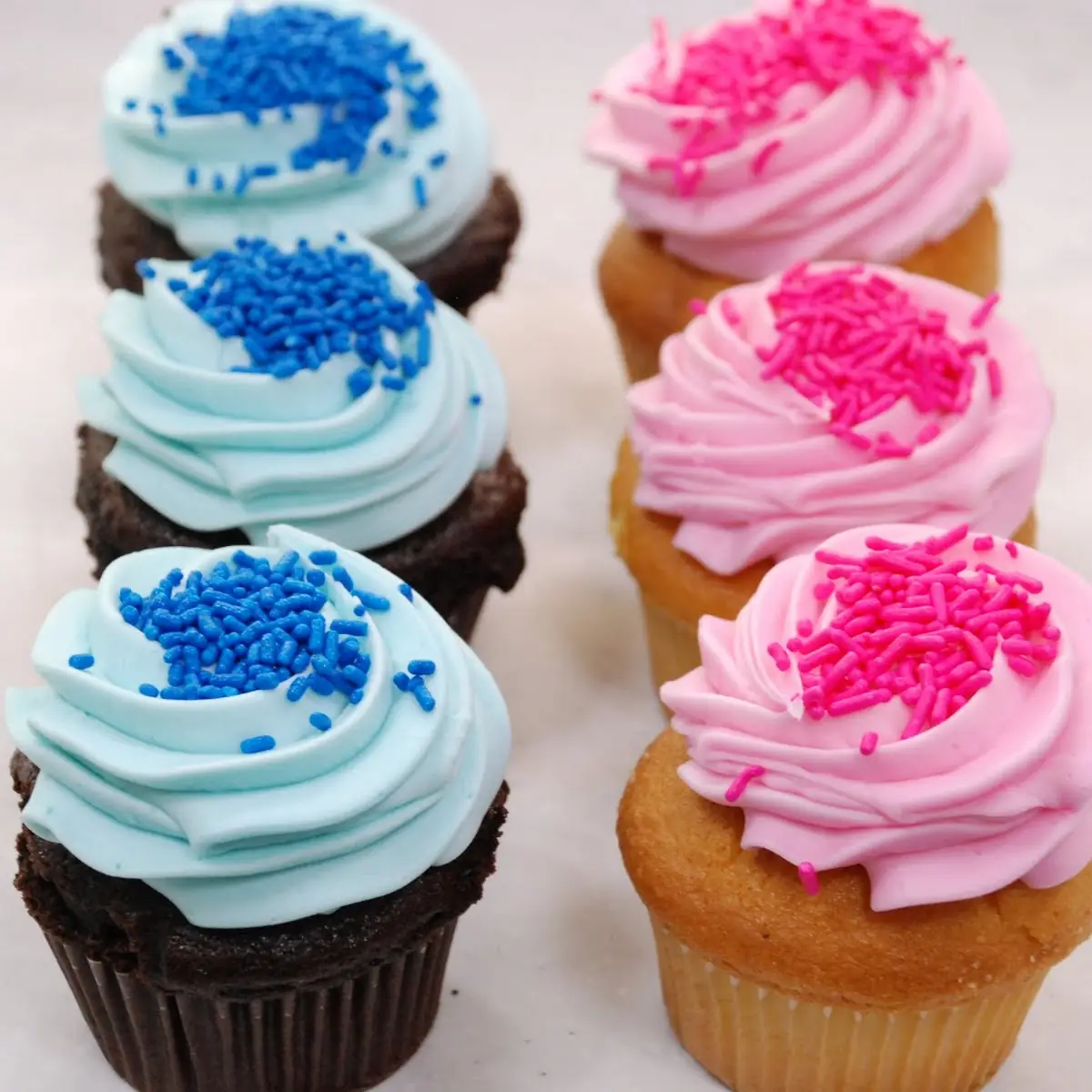 Vanilla and Chocolate Cupcakes