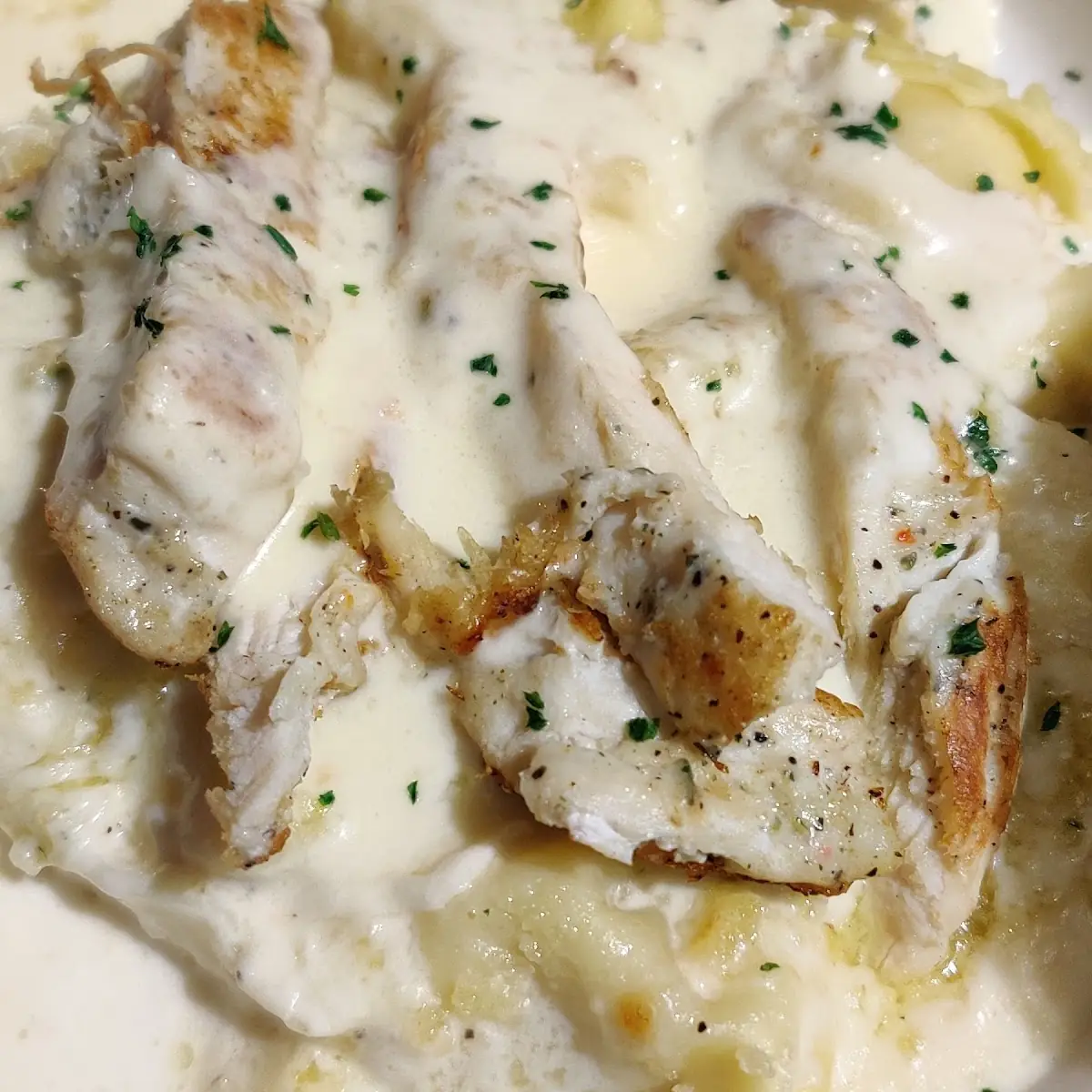 Chicken Alfredo