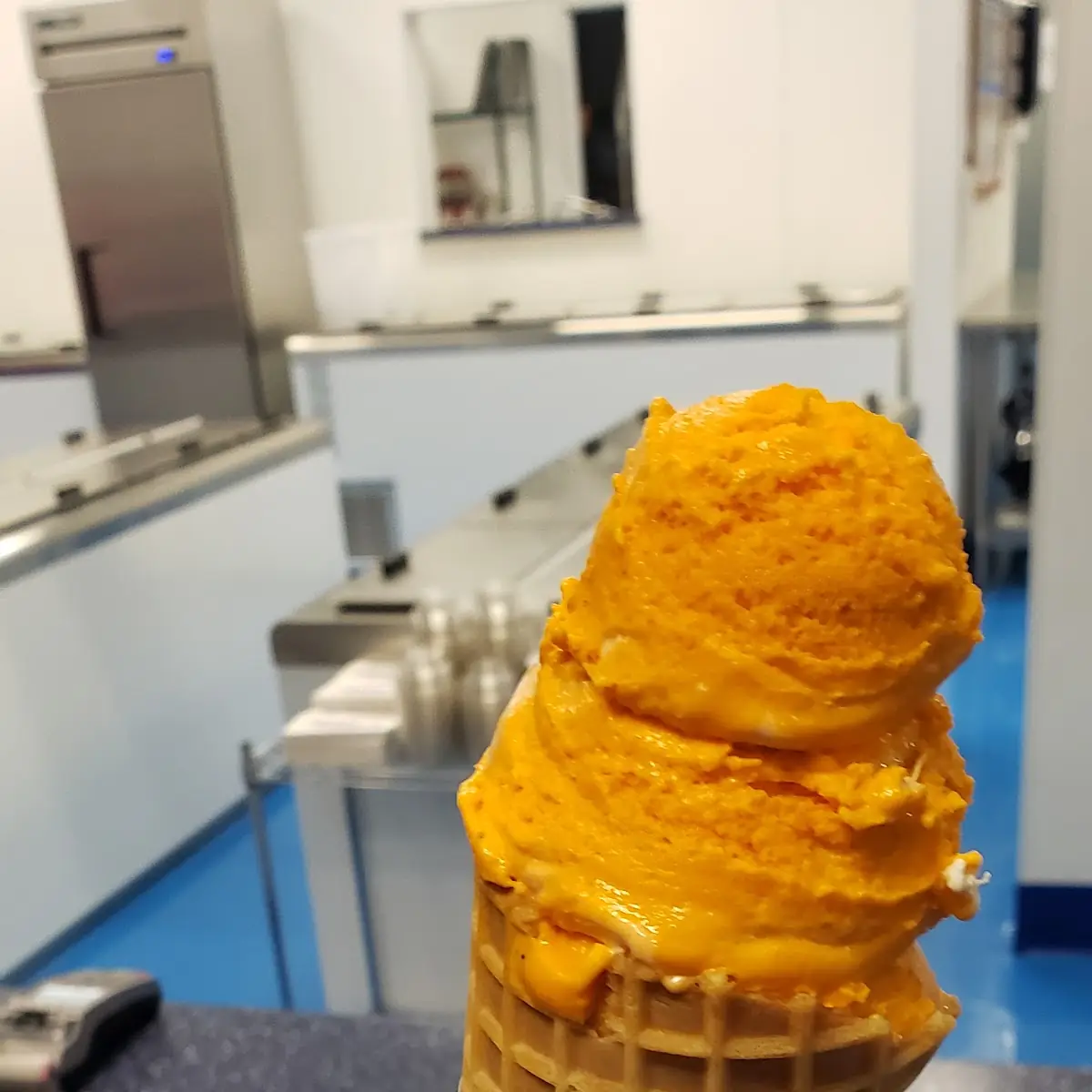 Pumpkin Pie
