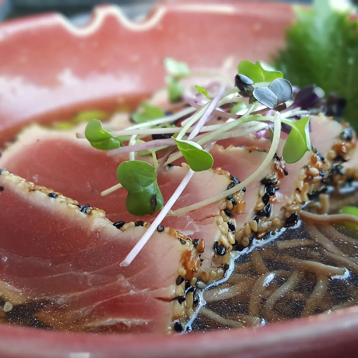 Pan Seared Tuna with Soba