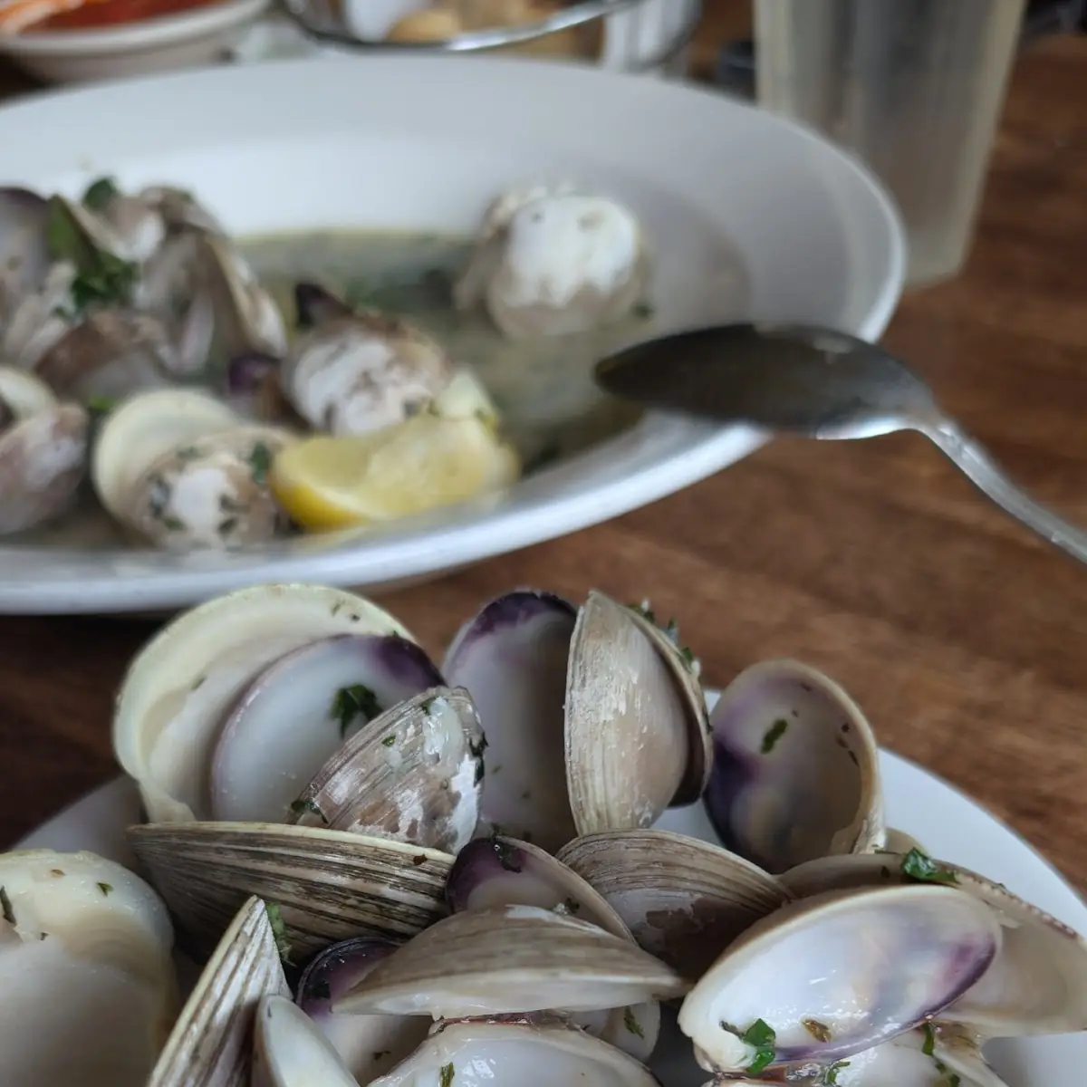 Steamed Clams