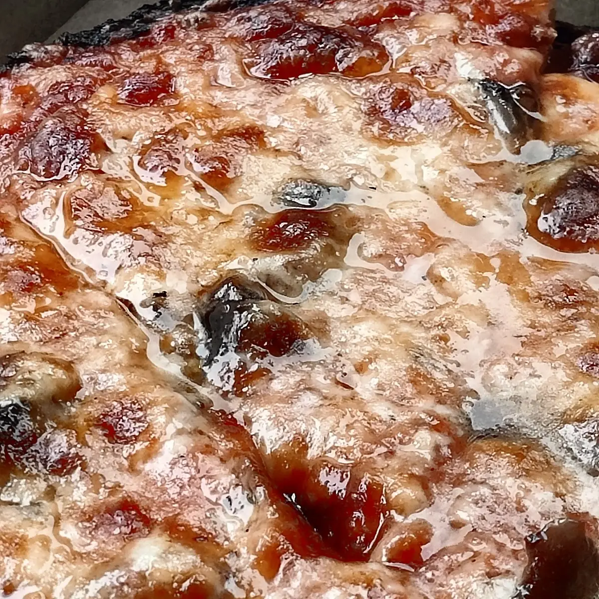 Mushroom Extra Cheese Pizza Laced and Well Done