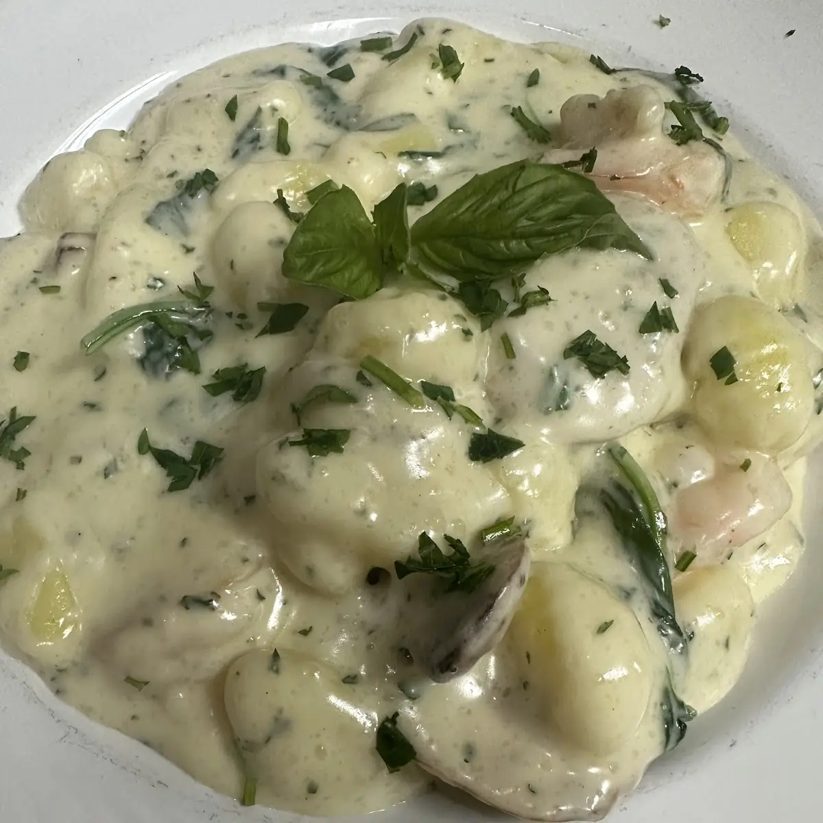 Gnocchi Gorgonzola with Alfredo Sauce