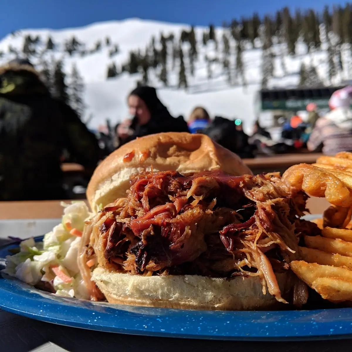 Pulled Pork Sandwich