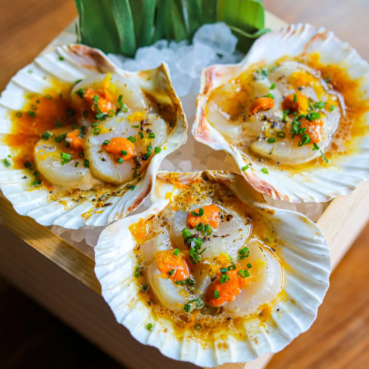 Scallops in Shell