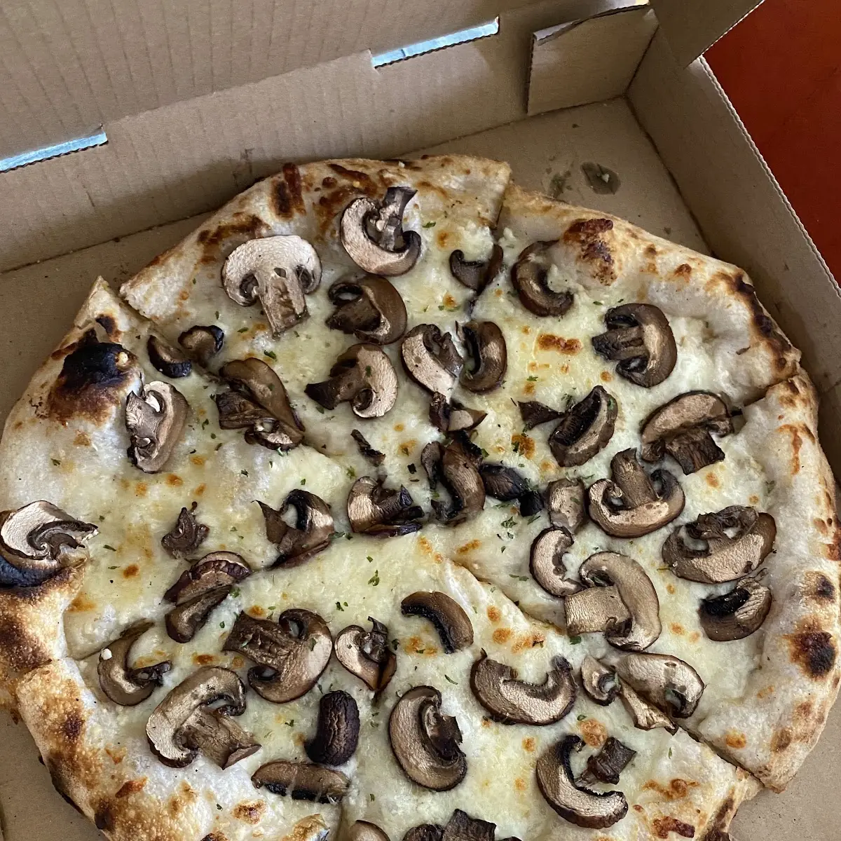 Truffle Mushroom Pizza